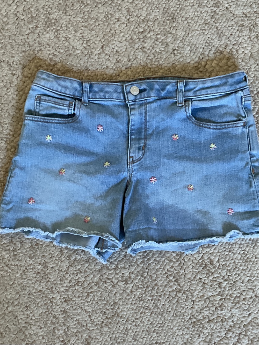 GAP Light Blue Denim Shorts with Pastel Floral Embroidery